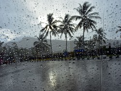 Gerimis dari Balik Jendela