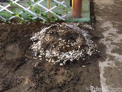 Sstt! Ada Makam di Kontrakan Raja Keraton Agung Sejagat di Sleman