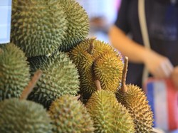 Dari Medan hingga Maluku, Ini 5 Durian Unggulan Indonesia
