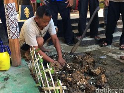 Terkuaknya Makam Janin di Kontrakan Raja Keraton Agung Sejagat