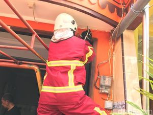 Butuh 1,5 Jam Sarang Tawon Sebesar Bola Sepak di Rumah Warga Dievakuasi