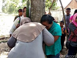Hasil Rukyah Sebut Pohon Keluarkan Suara Perempuan Menangis Ada Penunggunya