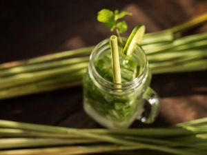 Pakai Sedotan Ramah Lingkungan, Kelantan Pilih Sedotan Serai!