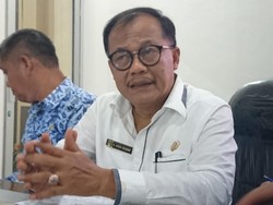 Pemprov Sumut Tegaskan Tidak Akan Musnahkan Ternak Babi Karena Hog Cholera