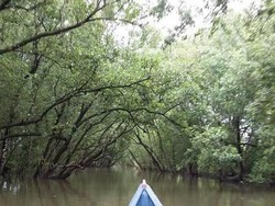 Jelajah ke Kota Tarakan, Pearl Harbour-nya Indonesia