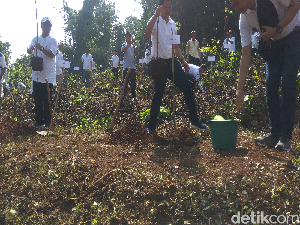 Sumedang Siapkan Sejuta Pohon Hijaukan Kawasan Tandus