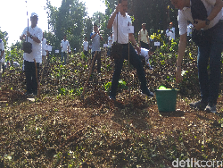 Sumedang Siapkan Sejuta Pohon Hijaukan Kawasan Tandus