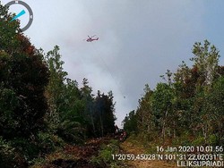 Kredit Tak Ramah Lingkungan Bisa Berujung Sanksi Internasional?