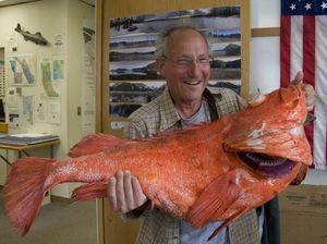Berusia Sampai 200 Tahun, Ini 5 Ikan Tertua di Dunia Berusia Sampai 200 Tahun, Ini 5 Ikan Tertua di Dunia