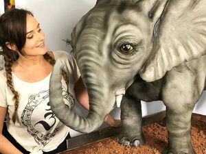 Mantan Make-up Artist Ini Bikin Kue Binatang 3D yang Super Nyata!