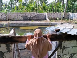 Waspada Tipu-tipu Harta Swiss ala Kerajaan