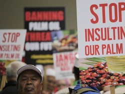 Diancam Boikot Sawit, Malaysia Dekati India dan Pakistan