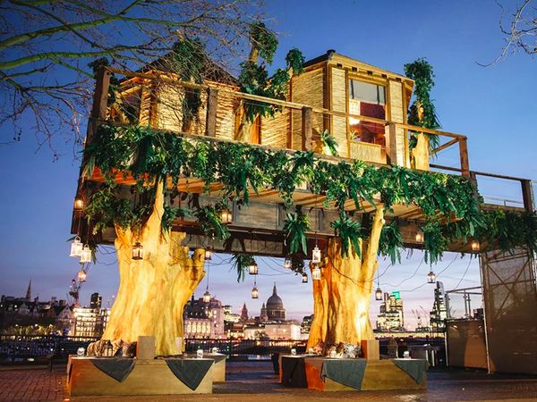 Intip Keindahan Penginapan Rumah Pohon yang Sajikan Makanan Ekstrem