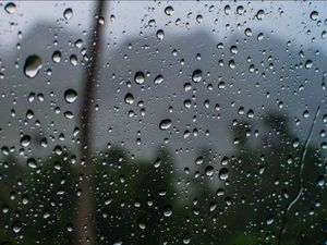 Hutan Hujan Tropis Hutan Hujan Tropis