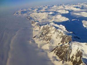 Mengejutkan, Ada Jejak Hutan Hujan di Antartika