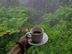 Hujan dan Kopi