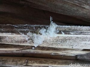 Ternyata Ini Penyebab Fenomena Embun Es Landa Dieng