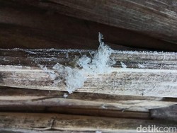 Ternyata Ini Penyebab Fenomena Embun Es Landa Dieng