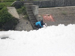 Sungai di Sidoarjo Dipenuhi Busa, Dinas Lingkungan Hidup Ambil Sample Air