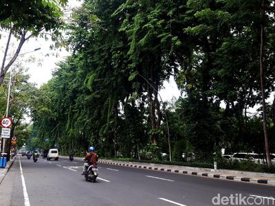 Potret Jalanan Kota Surabaya yang Asri dan Rimbun