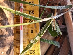 Langka! Embun Es Muncul di Dieng Saat Awal Tahun