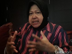 Tekan Polusi dengan Tanam Pohon, Risma: Masa Saya Larang OKB Naik Mobil