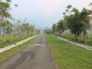 Foto: Pemandangan Hijau dari Tanah Minang