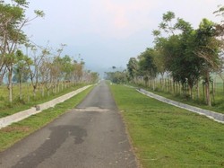 Foto: Pemandangan Hijau dari Tanah Minang