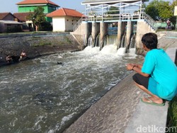 Busa yang Sempat Menggunung di Sungai Sidoarjo Kini Hilang