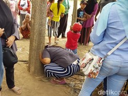 Begini Tingkah Warga Berusaha Mendengar Suara Pohon Menangis di Jember