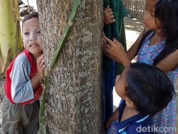 Banyak yang Gagal dengar Suara, Lokasi Pohon Menangis Sepi Pengunjung