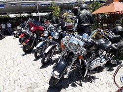 Modifikasi Gila! Motor Harley-Davidson Pakai Mesin Rumput Ternyata Bisa Jalan Juga