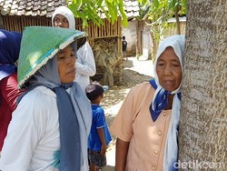 Ada Pohon dengan Suara Tangisan Anak Perempuan di Jember