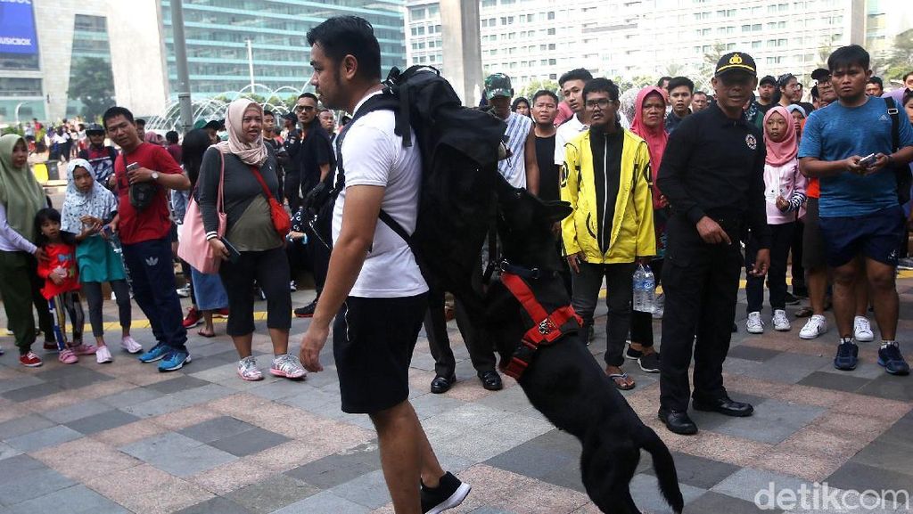 Aksi Anjing Pelacak Pamer Kemampuan Deteksi Bom di CFD