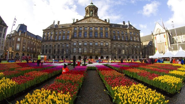 Beragam bunga tulip berbagai warna menghiasi kawasan Dam Square, Amsterdam. Keberadaan beragam bunga tulip itu untuk membuka musim tulip di Belanda.