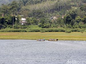 Legenda Situ Ciburuy, Tempat Pemandian Badak hingga Arena Tarung Jawara Legenda Situ Ciburuy, Tempat Pemandian Badak hingga Arena Tarung Jawara