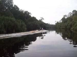 Duh! Dua Pulau di Sumsel Lenyap, Empat Pulau Terancam Menyusul Duh! Dua Pulau di Sumsel Lenyap, Empat Pulau Terancam Menyusul