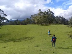 Pesona Timor Tengah Selatan Yang Asri & Menawan