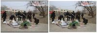 Cek Kebenaran Foto Viral soal Al Qur'an Dibakar di Xinjiang