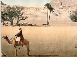 Mengenal Bangsa Hamit Warga Kulit Putih Afrika, di Mana Mereka Tinggal?