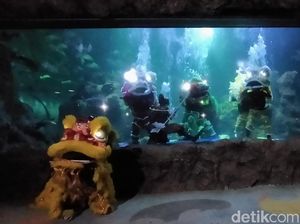 Cerita Penyelam soal Tantangan Tampilkan Barongsai Dalam Air