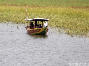 Tenggelam di Situ Ciburuy, Seorang Remaja Perempuan Tewas Tenggelam di Situ Ciburuy, Seorang Remaja Perempuan Tewas