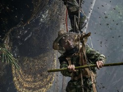 Aksi Ekstrem Orang di Tebing Curam, Ambil Madu dan Buka Warung