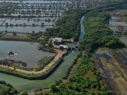 Cara Jitu Risma Atasi Banjir yang Bikin Bangga Surabaya