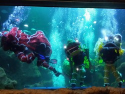 Taman Rekreasi Ini Bagi-Bagi 2571 Angpao Saat Imlek