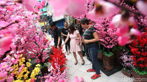 Laris Manis Penjualan Pohon Mei Hua yang Jelita Jelang Imlek