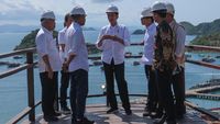Momen Jokowi Kunjungi Puncak Waringin di Labuan Bajo