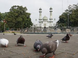 Santai Sore di Alun-Alun Malang