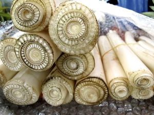 Kakak-Adik Rebutan Ikan Lele dan Fakta Menarik Batang Pisang Kakak-Adik Rebutan Ikan Lele dan Fakta Menarik Batang Pisang