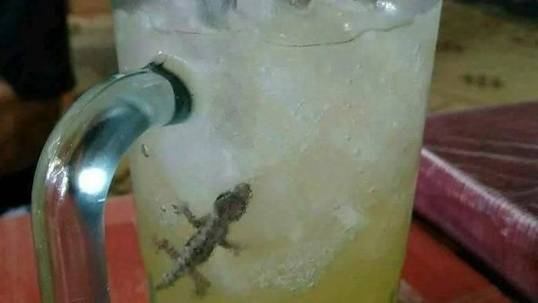Hii Jijik! Ada Cicak hingga Kunci Rumah di Makanan Ini